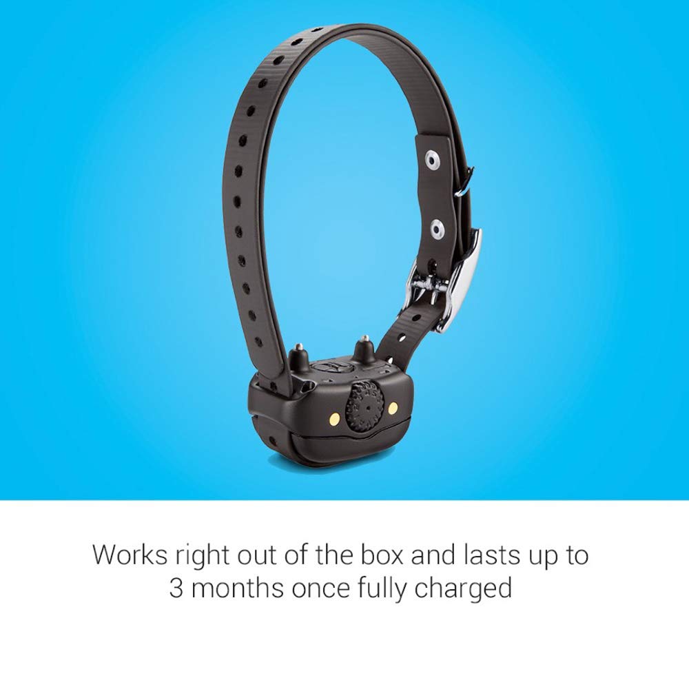 Rechargeable Dog Training Collar D63523