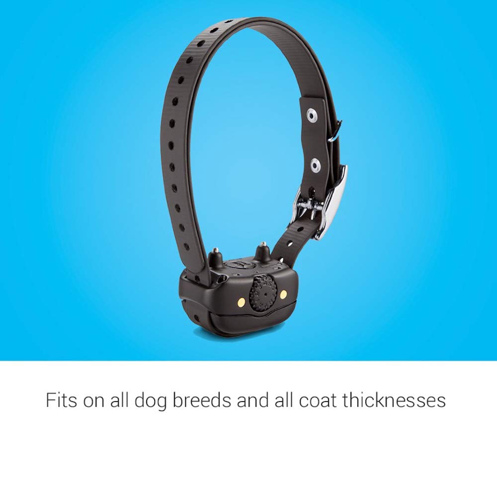 Rechargeable Dog Training Collar D63523