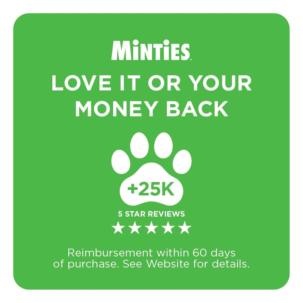 Mint Dental Chews for Dogs, 40 Ct I365200