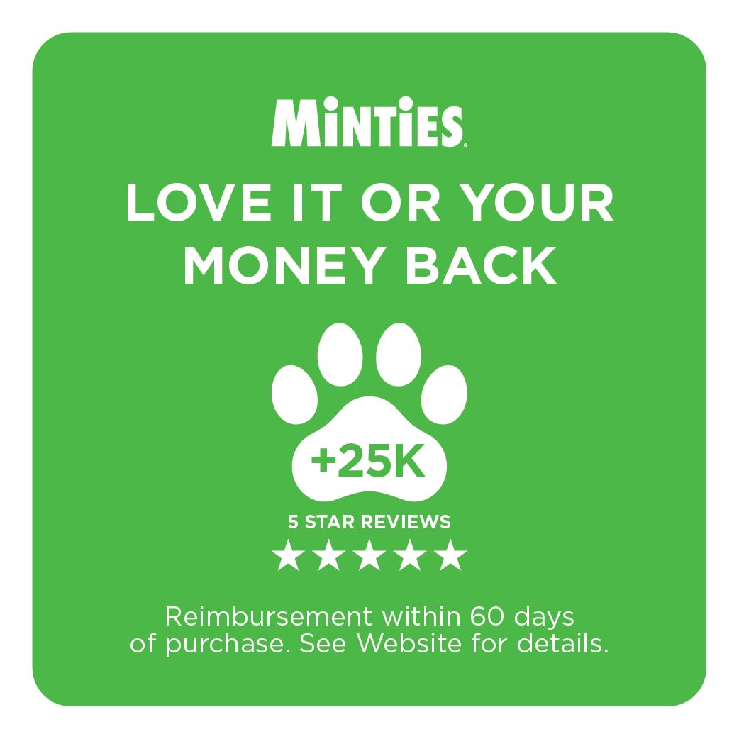 Mint Dental Chews for Dogs, 40 Ct I365200