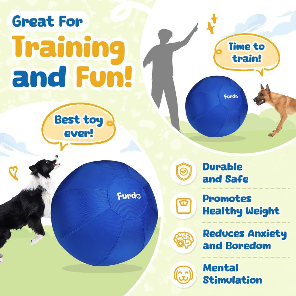 25" Herding Ball for Dogs L356851