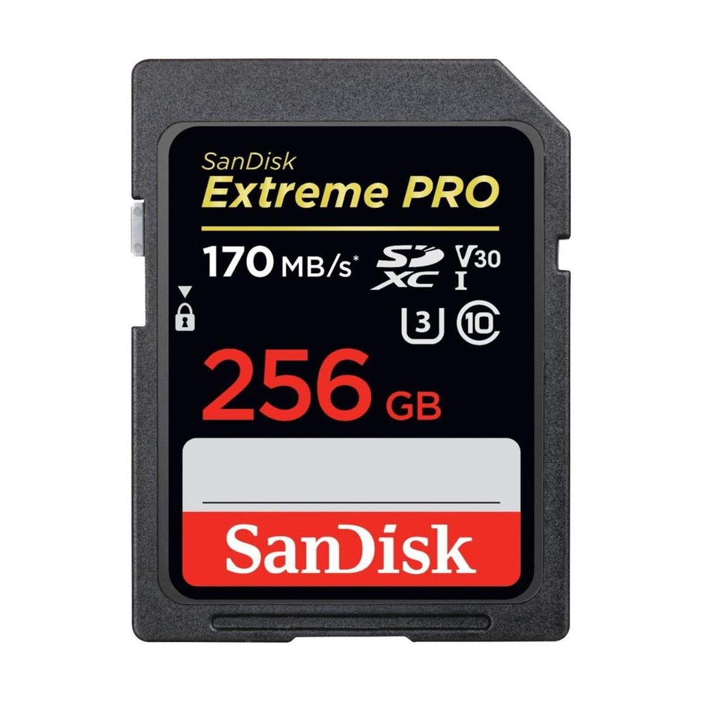 256GB SDXC UHS-I SD Card I13502