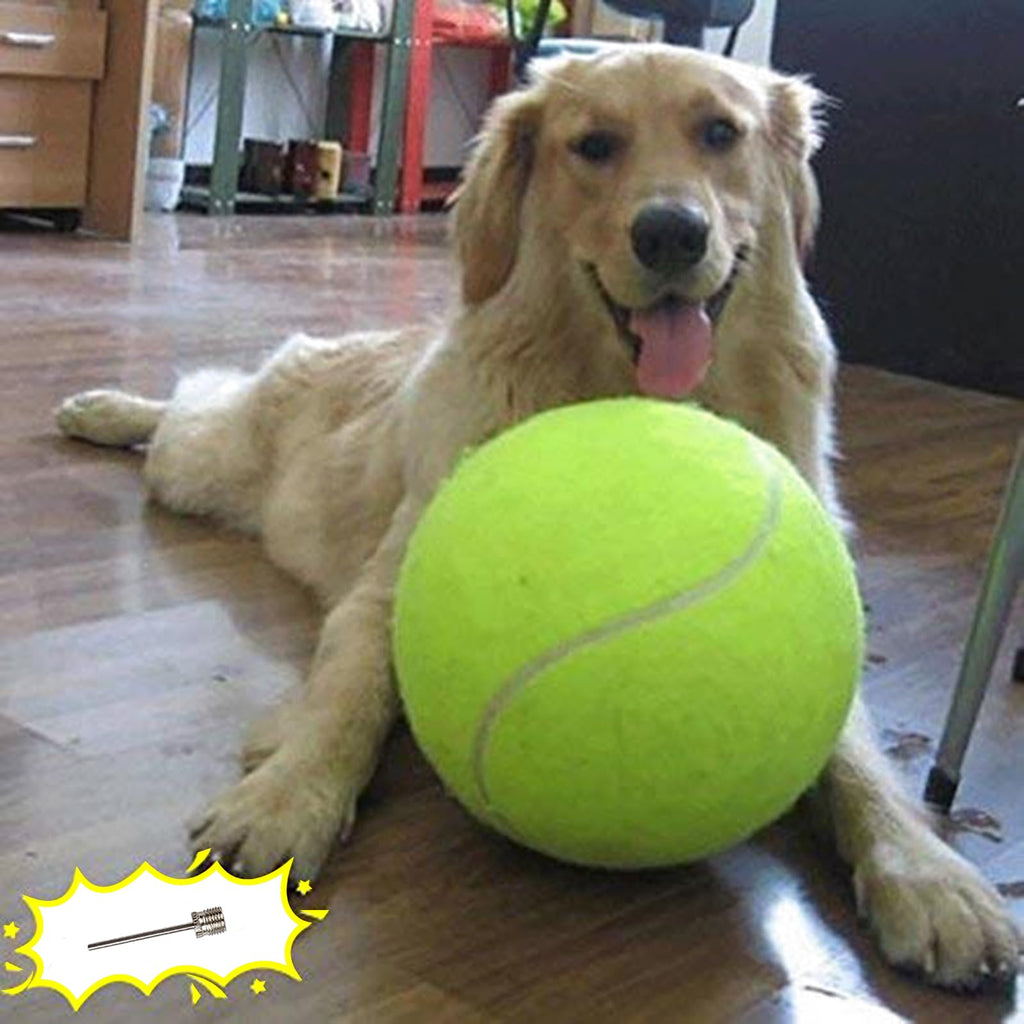 Dog Tennis Ball W2302