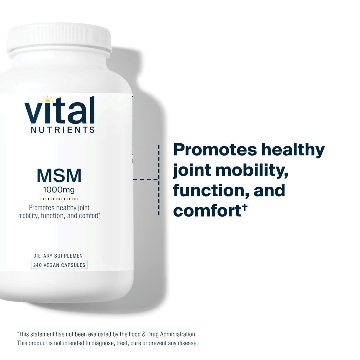 MSM 1,000mg 240 Capsules A166256