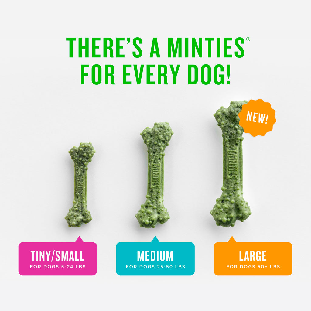 Mint Dental Chews for Dogs, 40 Ct I365200