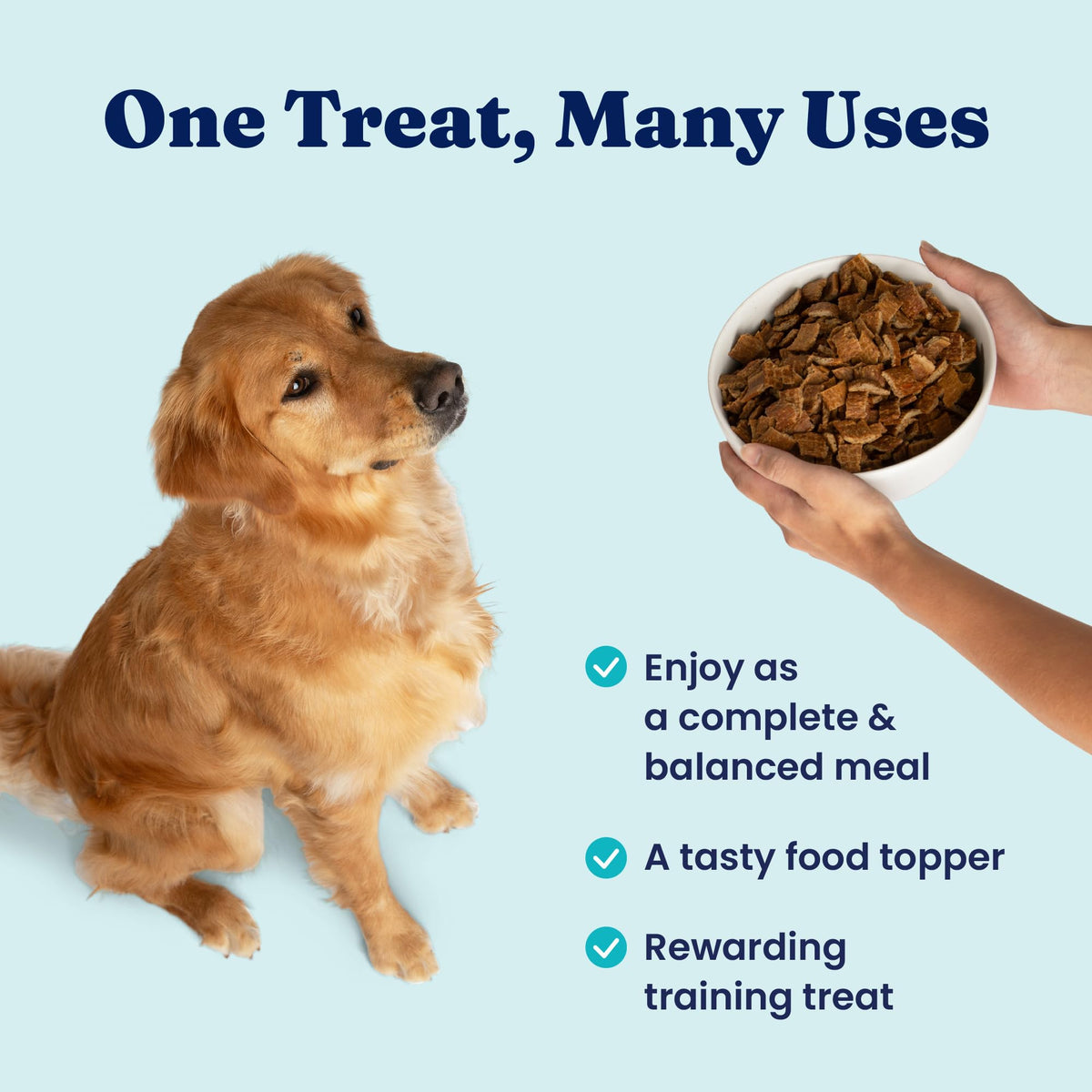 Air Dried Dog Food Topper & Treats Beef 1lb C5850