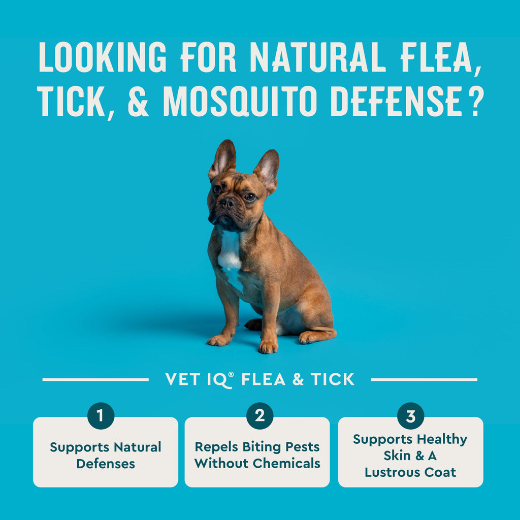 Chemical-Free Soft Chews Flea & Tick Support Dogs 60-Count F937171