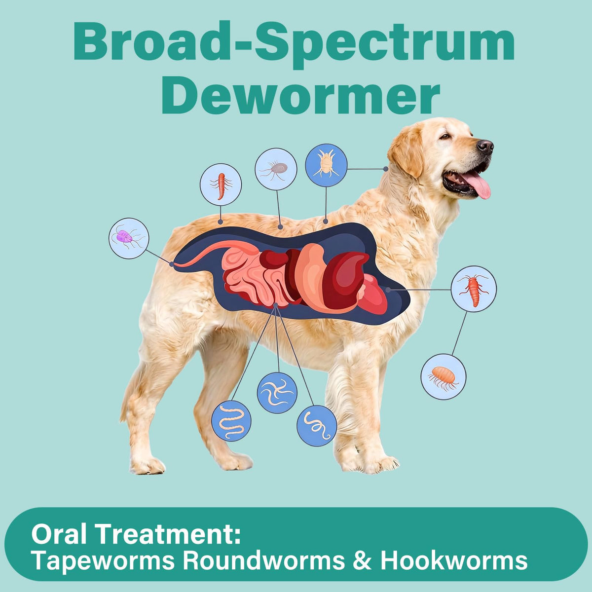 Large Dog & Puppy Oral Worm Remover 50 Tablets F107
