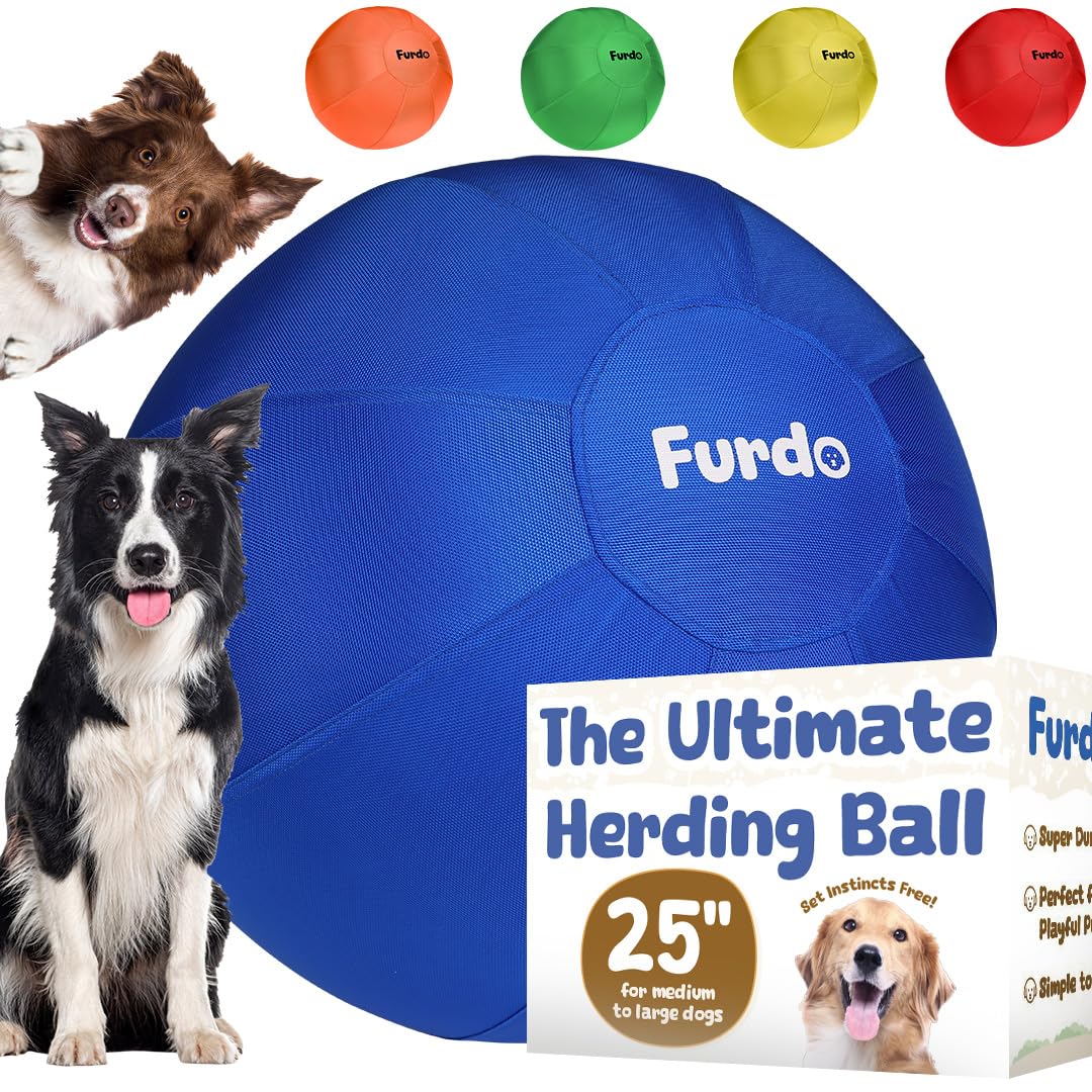 25" Herding Ball for Dogs L356851