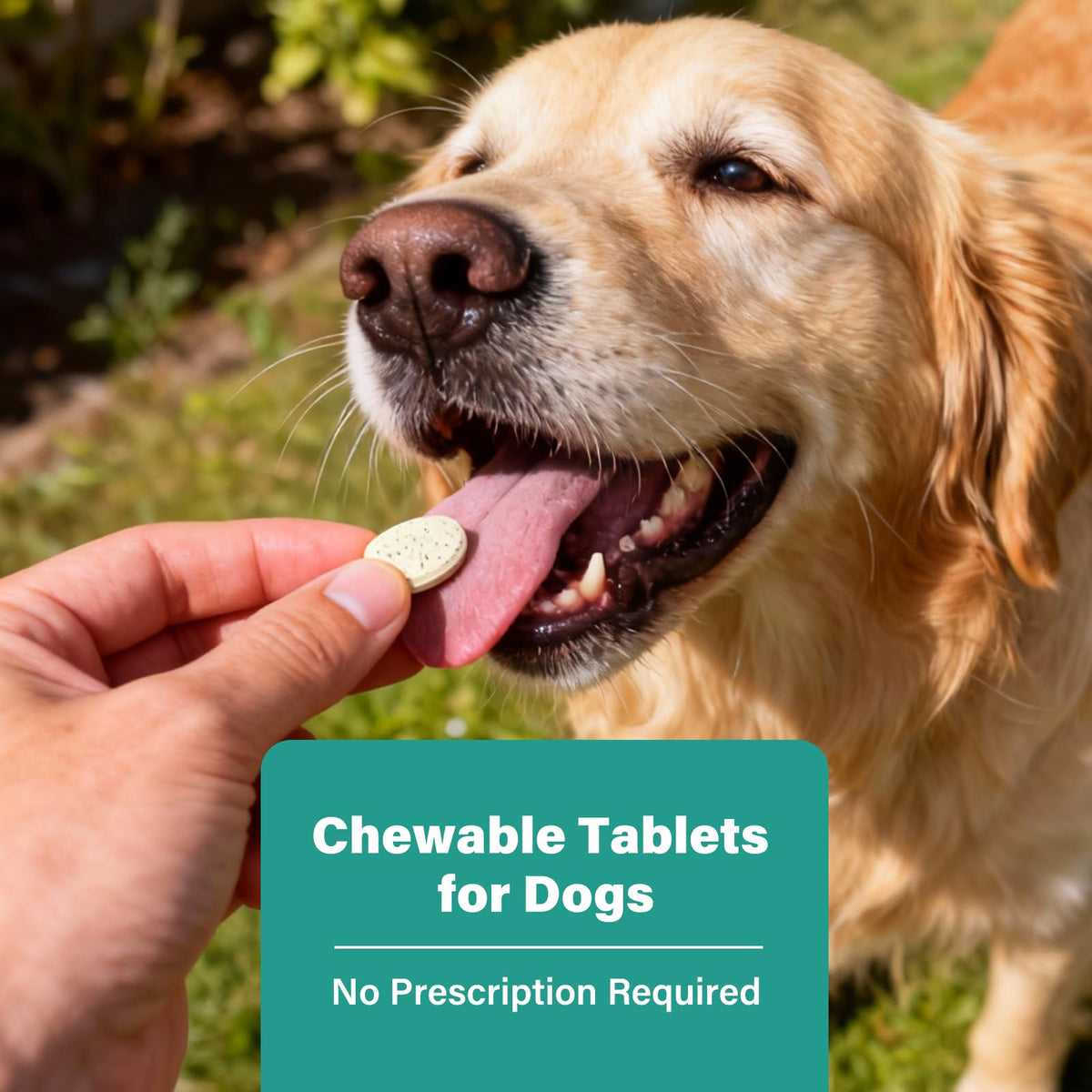 Large Dog & Puppy Oral Worm Remover 50 Tablets F107