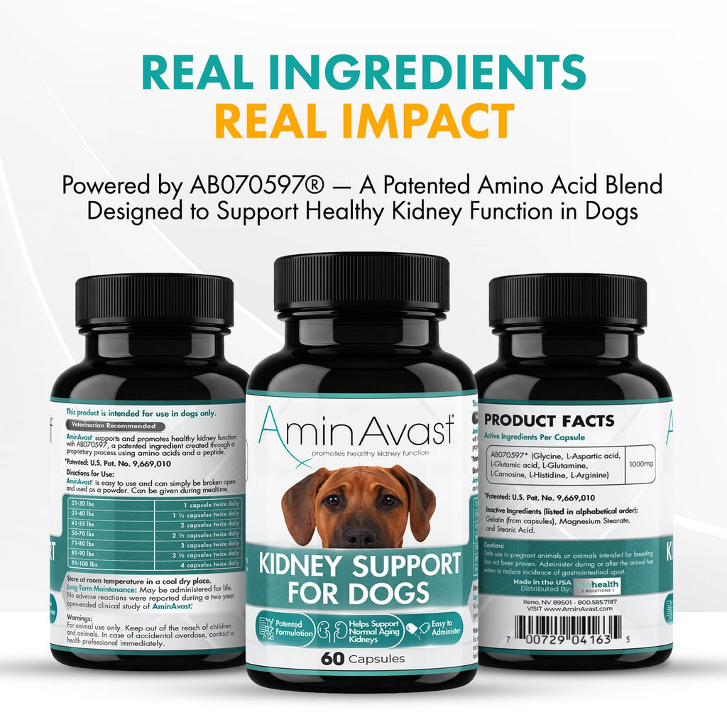 Kidney Support for Dogs 60 Sprinkle Capsules Z3464