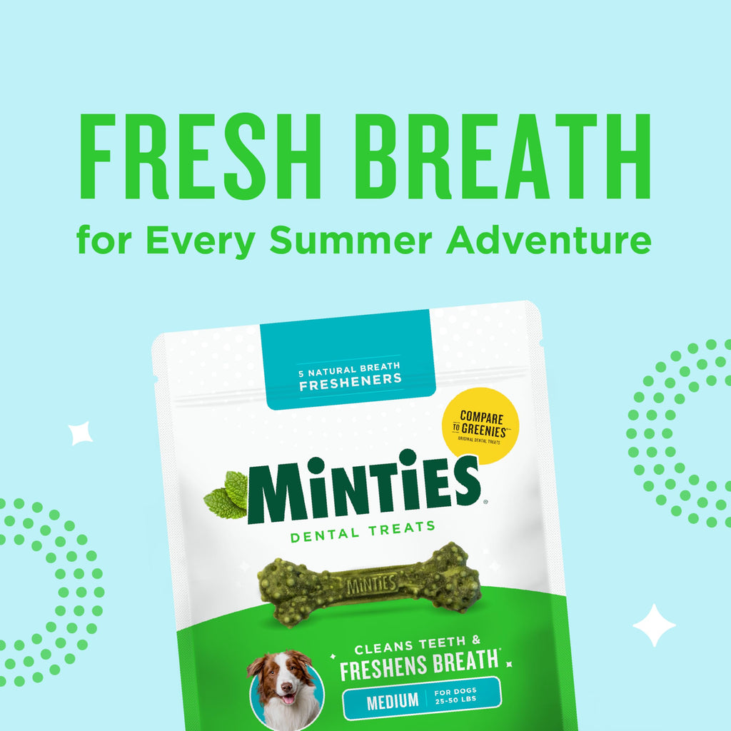 Mint Dental Chews for Dogs, 40 Ct I365200