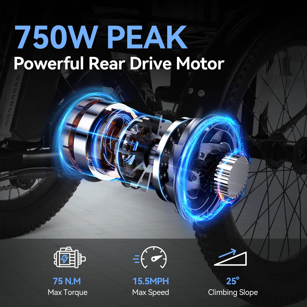 20'' Folding Electric Trike 750W 3-Wheel Bike with Removable Battery Q2486