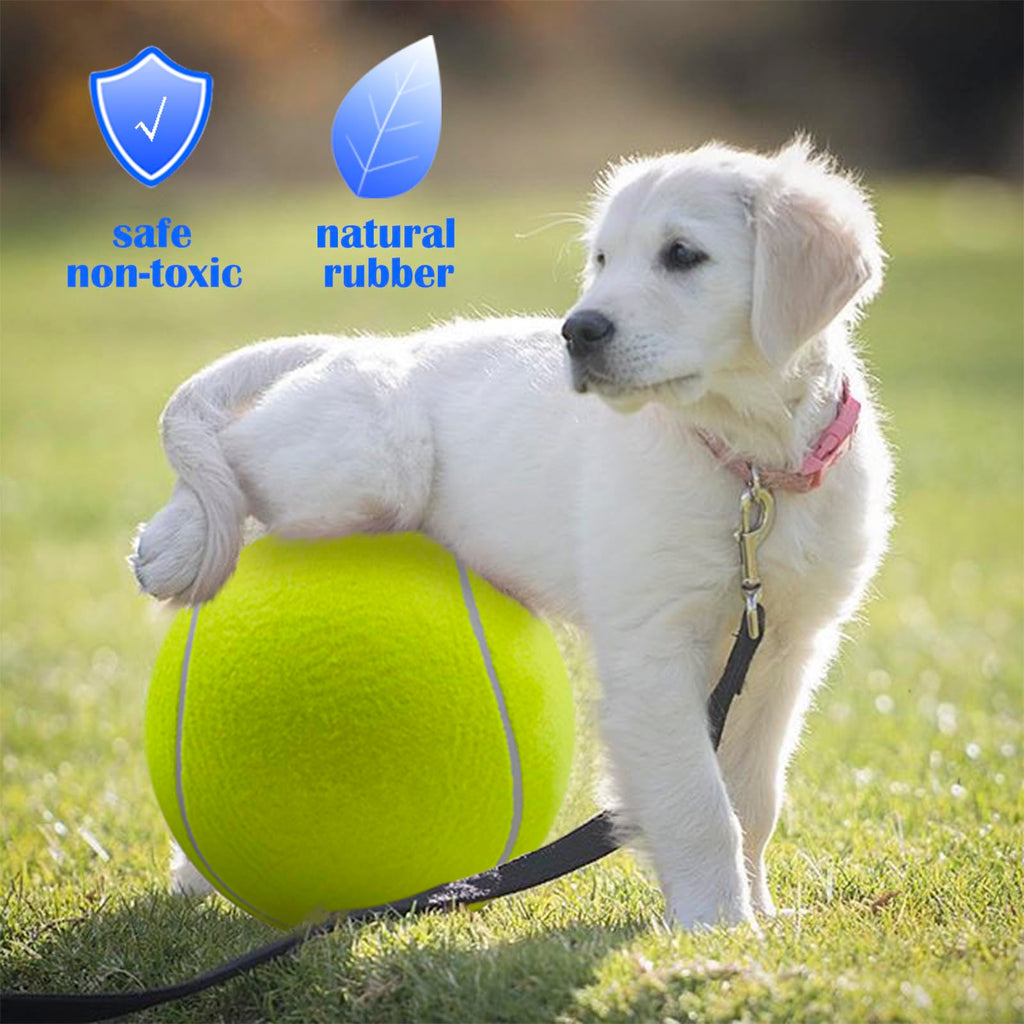 Dog Tennis Ball W2302