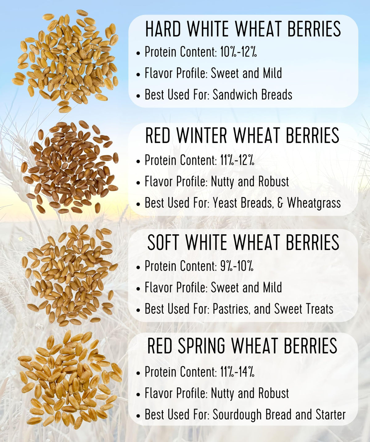Soft White Wheat Berries 25 LBS R164440