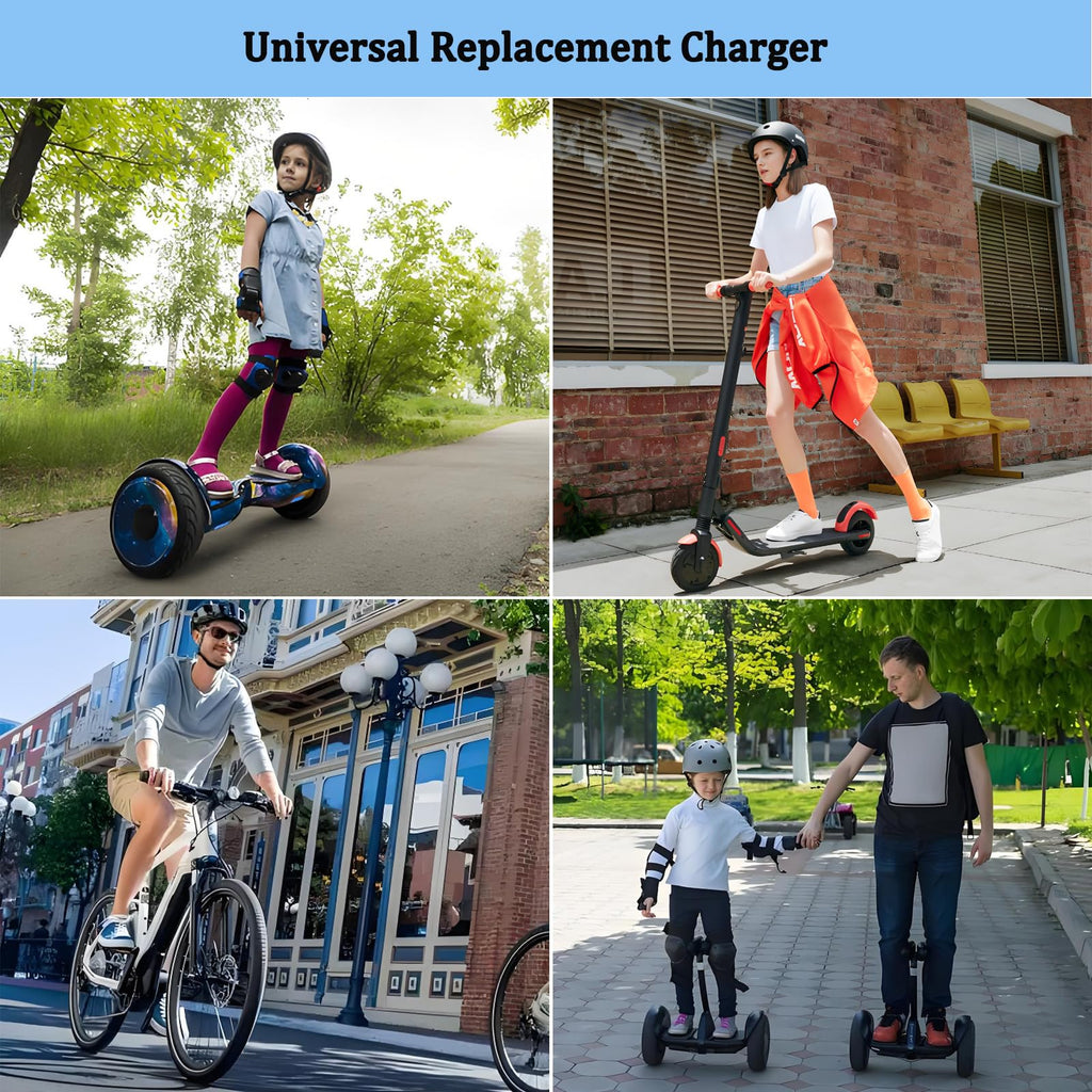 42V 2A Electric Scooter Charger with 4 Plugs A8680