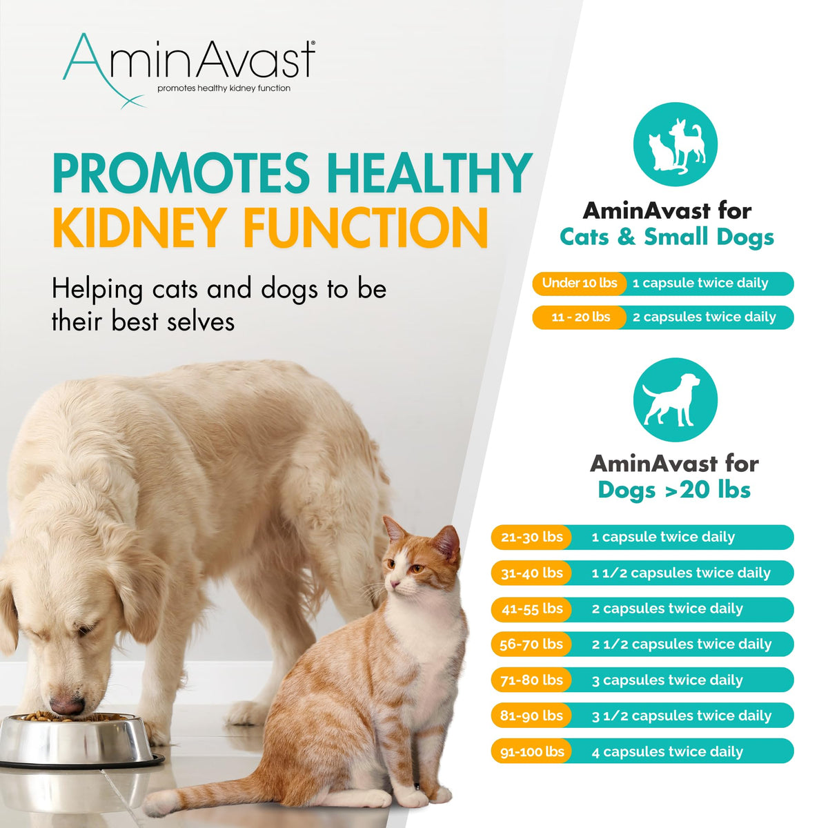 Kidney Support for Dogs 60 Sprinkle Capsules Z3464