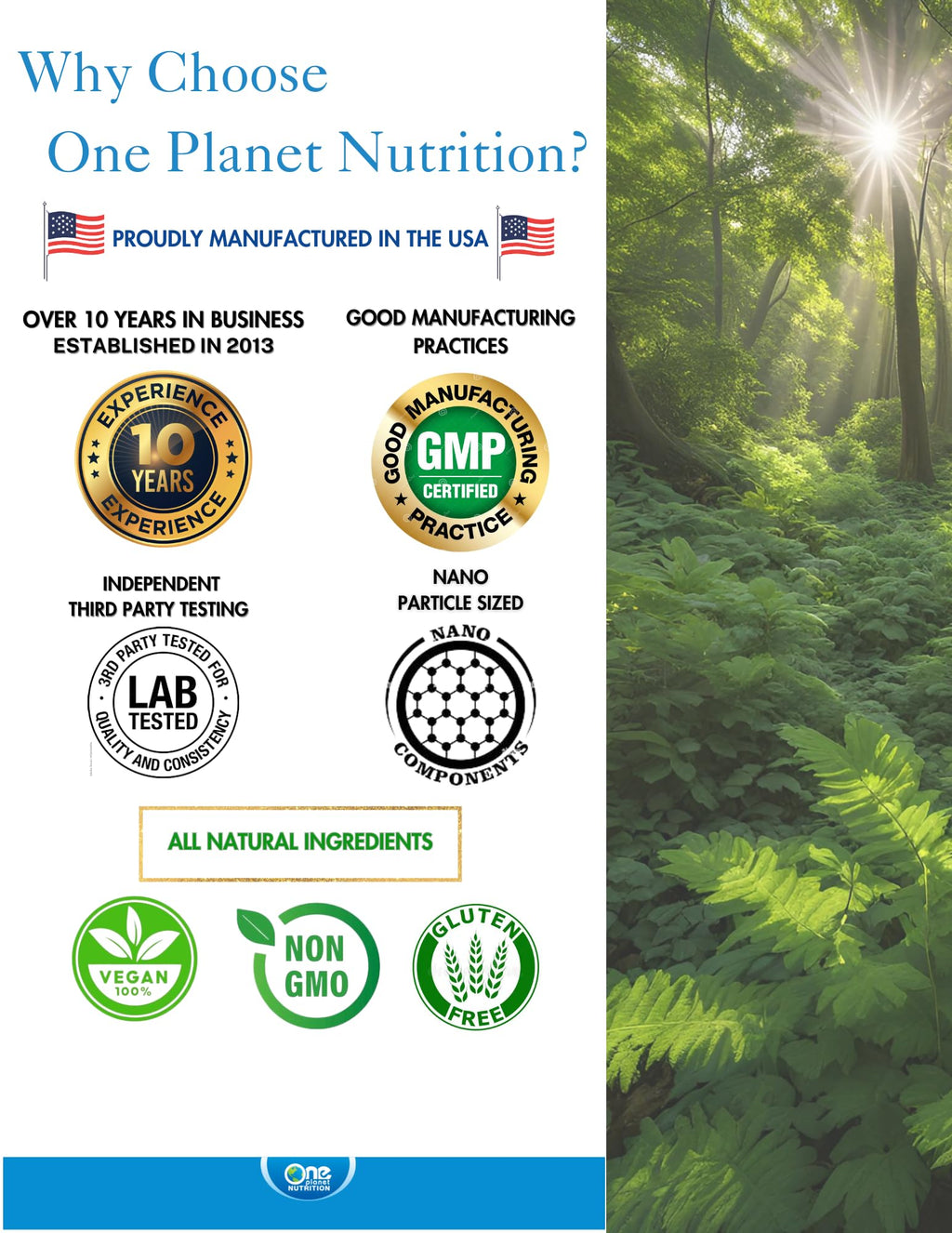 Moringa Capsules 500 mg 120 Count H289815