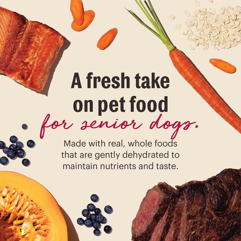 Whole Grain Senior Dog Food 2 lb Bag Y863826