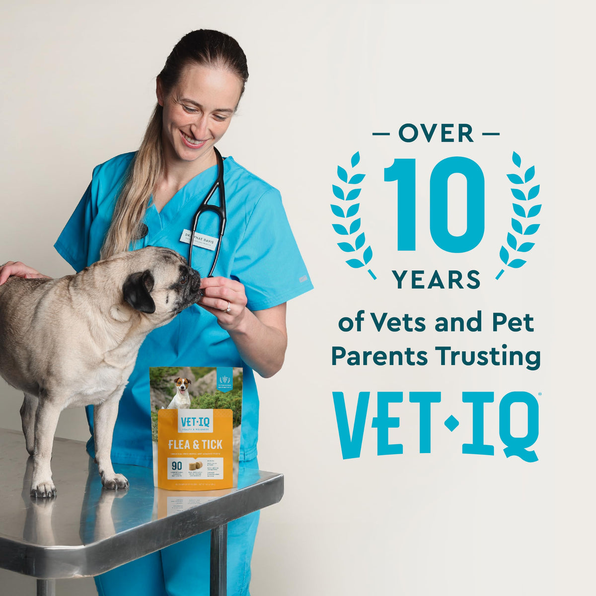 Chemical-Free Soft Chews Flea & Tick Support Dogs 60-Count F937171