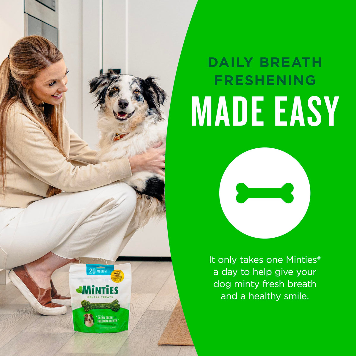 Mint Dental Chews for Dogs, 40 Ct I365200