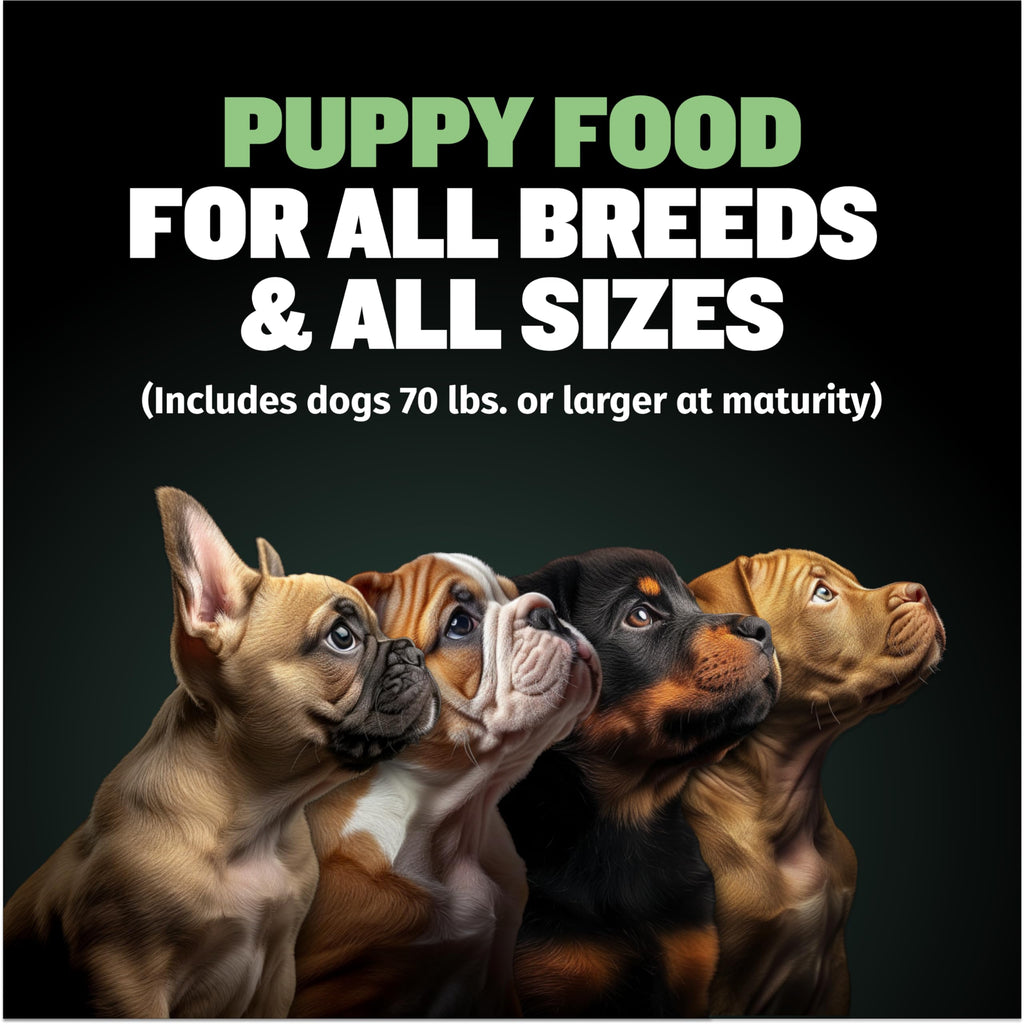 High-Protein Lamb Puppy Food, Vitamin Tabs & Power Tabs K747