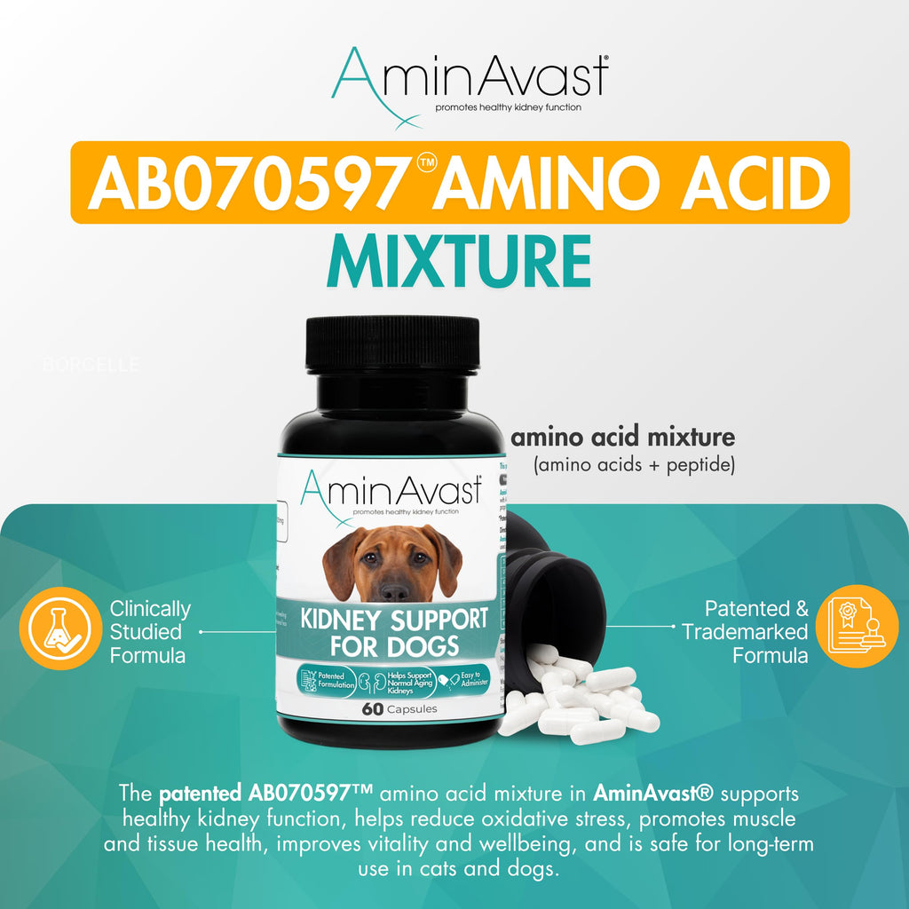 Kidney Support for Dogs 60 Sprinkle Capsules Z3464