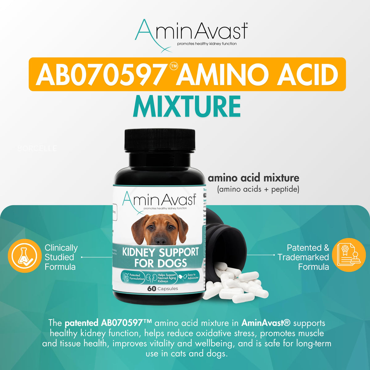 Kidney Support for Dogs 60 Sprinkle Capsules Z3464