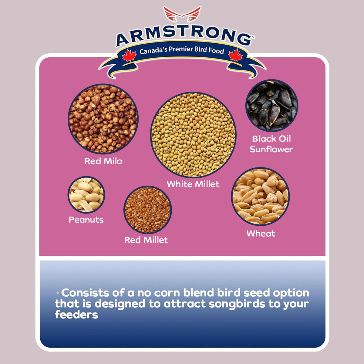 Wild Bird Food Ultra Blend 20 Pound Pail S11400