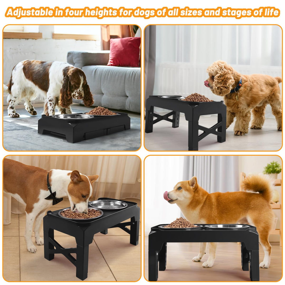 Elevated Dog Bowls with 2 Stainless Steel Bowls Non-Slip Adjusts to 3 Heights L212527