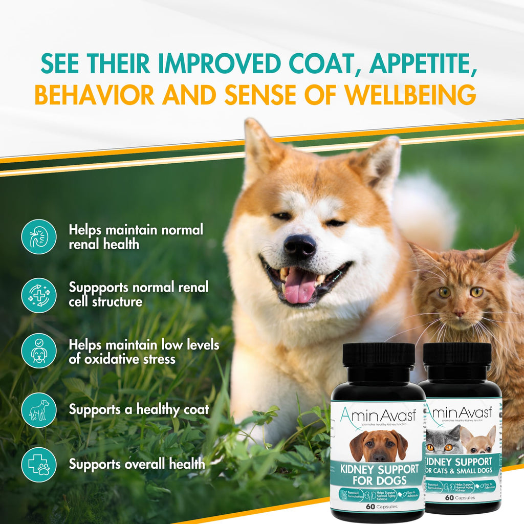 Kidney Support for Dogs 60 Sprinkle Capsules Z3464
