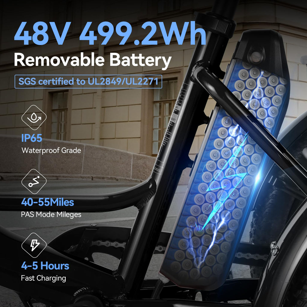 20'' Folding Electric Trike 750W 3-Wheel Bike with Removable Battery Q2486