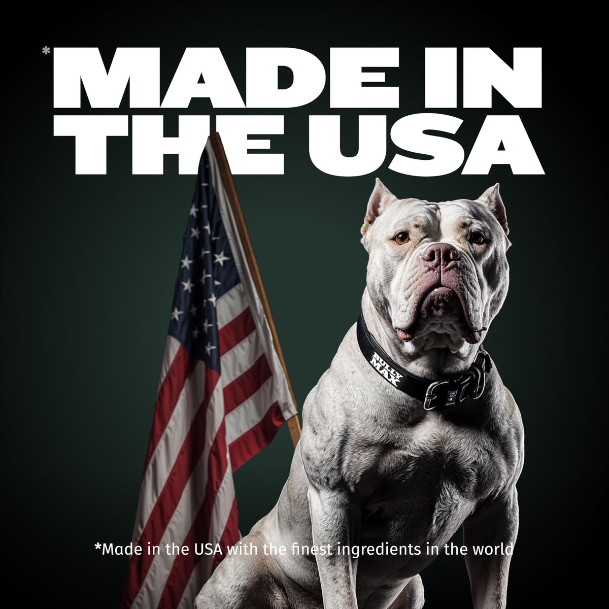High-Protein Lamb Puppy Food, Vitamin Tabs & Power Tabs K747