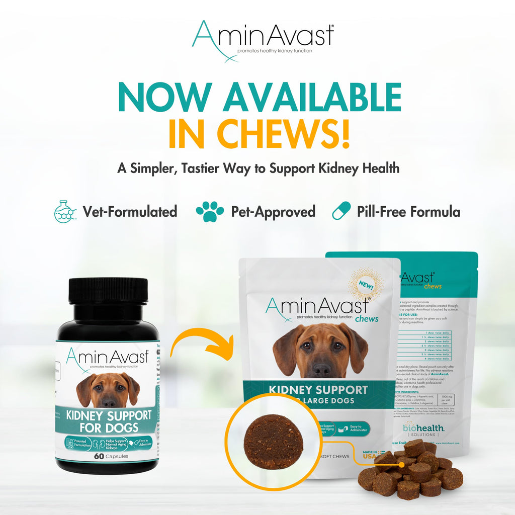 Kidney Support for Dogs 60 Sprinkle Capsules Z3464
